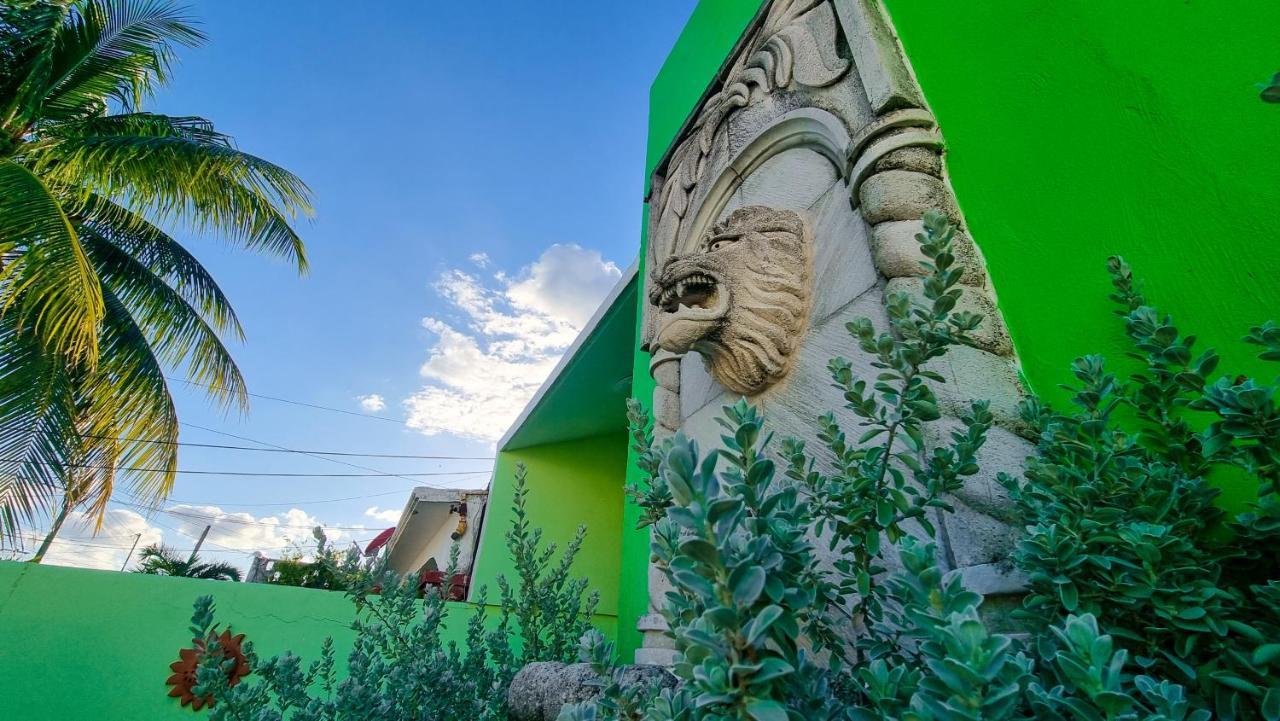 Villa Leo Cancun Downtown Exteriör bild